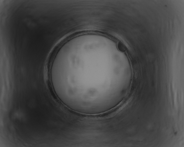 X0000101171069200806270749