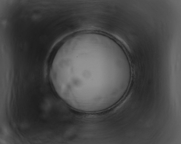 X0000101171070200806270749