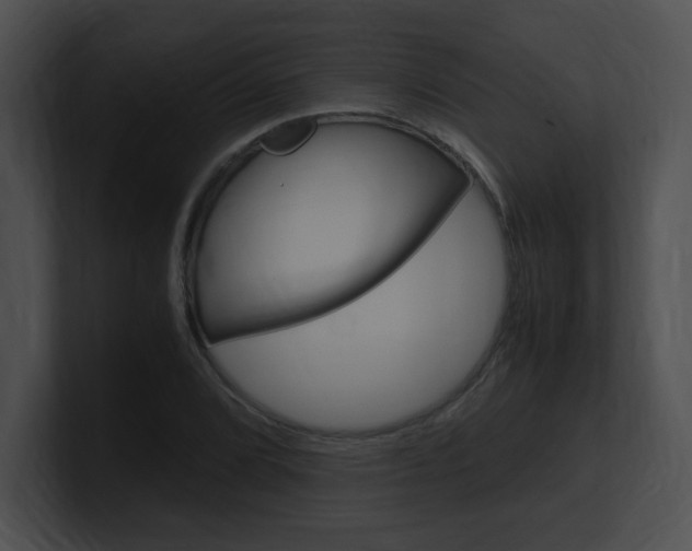 X0000101171072200806270748
