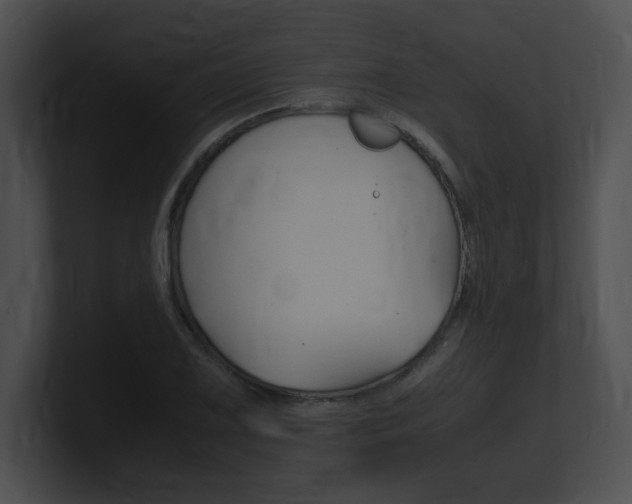X0000101171075200806270748