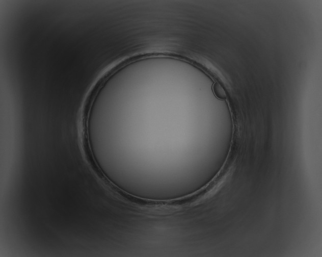 X0000101171077200806270748