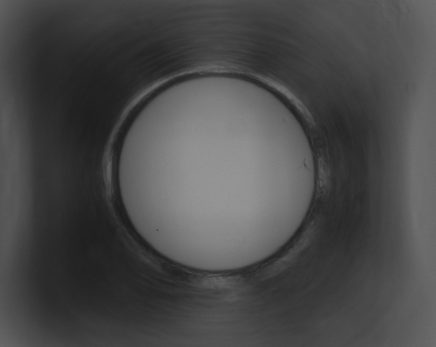 X0000101171078200806270748