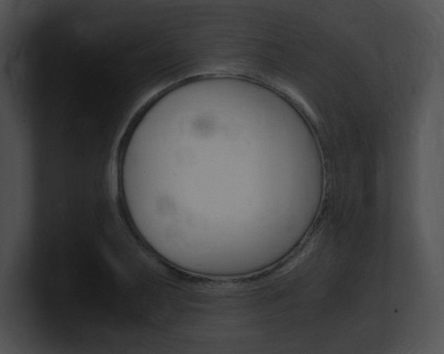 X0000101171079200806270748