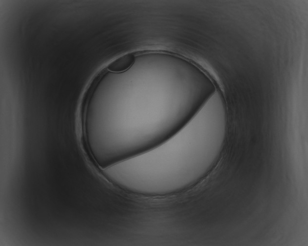 X0000101171080200806270748