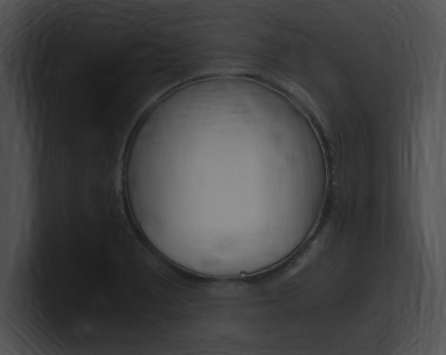 X0000101171081200806270748