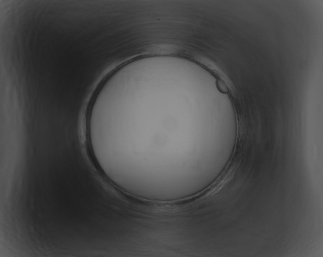 X0000101171083200806270748