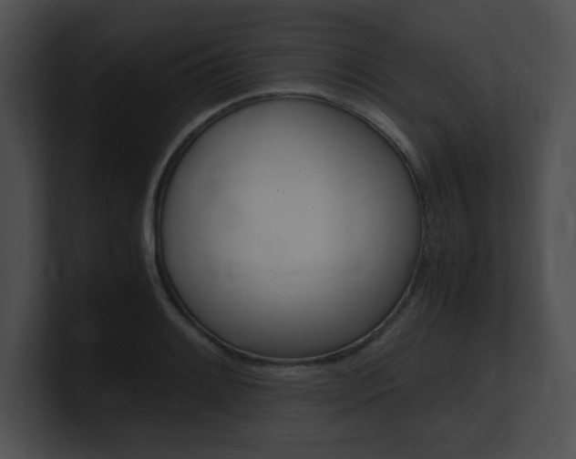 X0000101171084200806270748