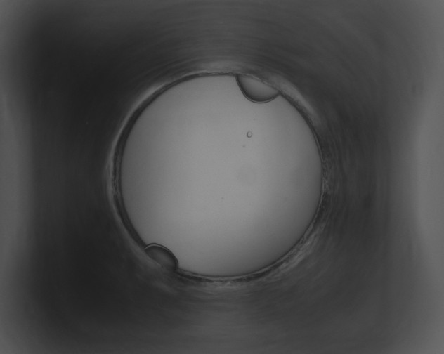 X0000101171087200806270748