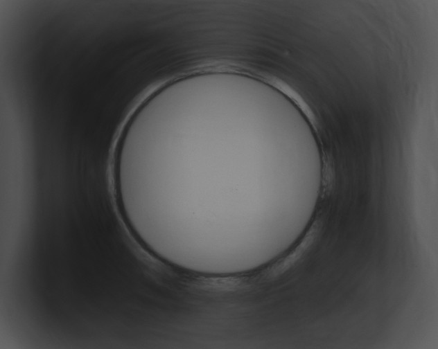 X0000101171090200806270748