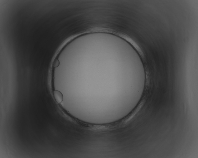X0000101171094200806270748