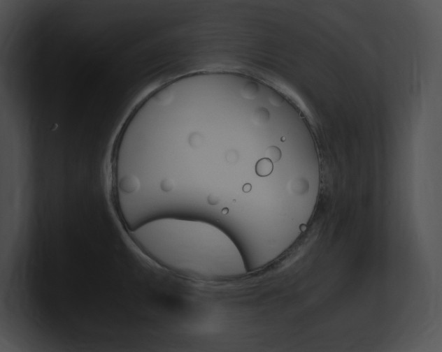 X0000101171095200806270748
