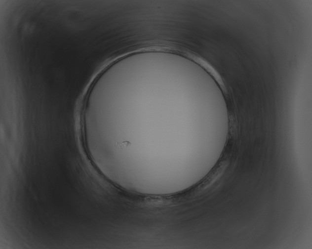X0000101171099200806270748