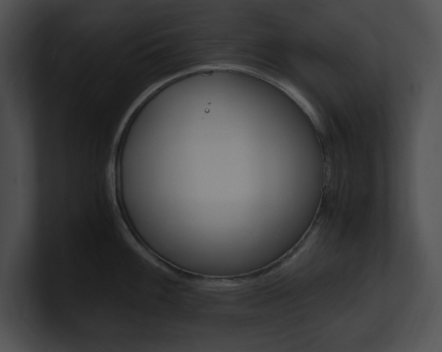 X0000101171100200806270748