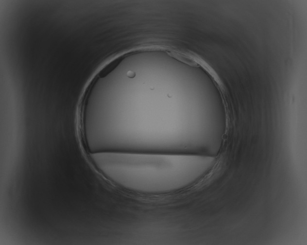 X0000101171101200806270748