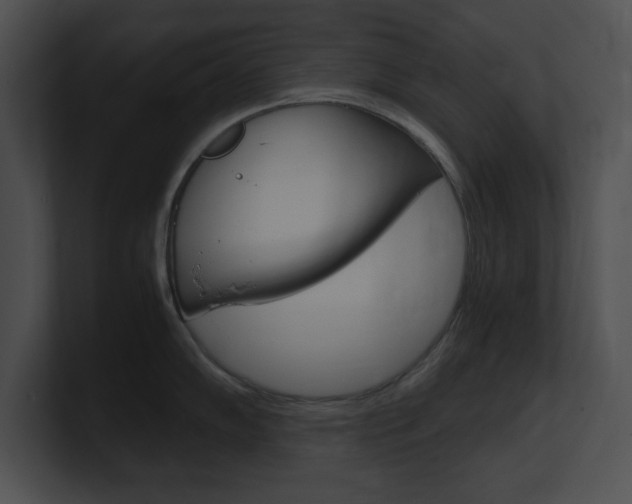 X0000101171102200806270748