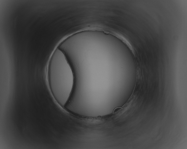 X0000101171103200806270748