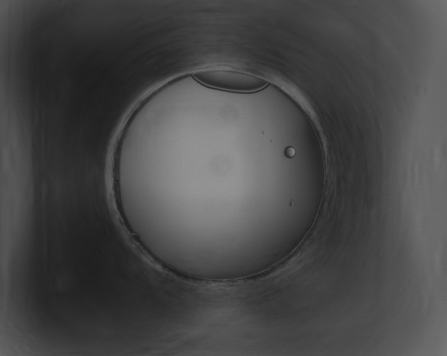 X0000101171104200806270748