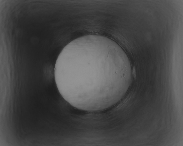 X0000101171107200806270747