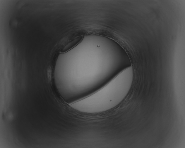 X0000101171108200806270747