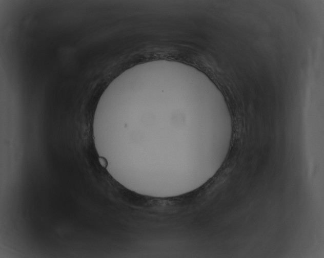 X0000101171109200806270747