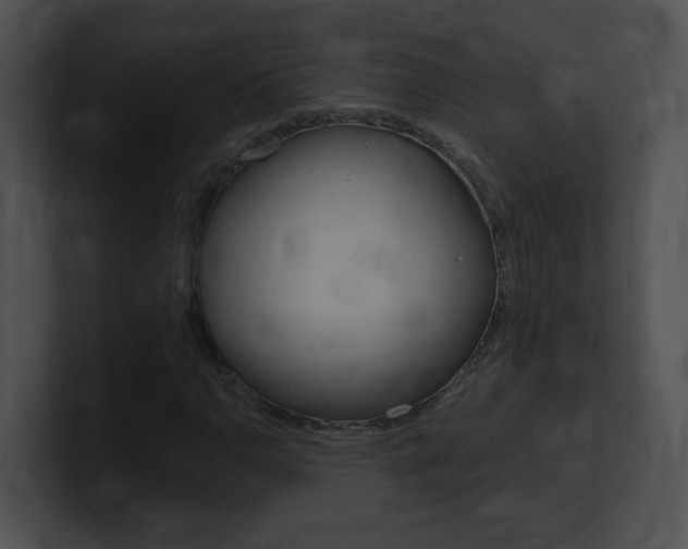 X0000101171110200806270747