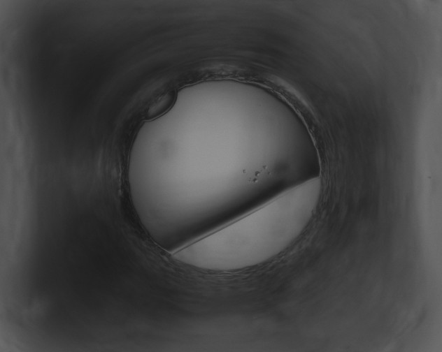 X0000101171111200806270747