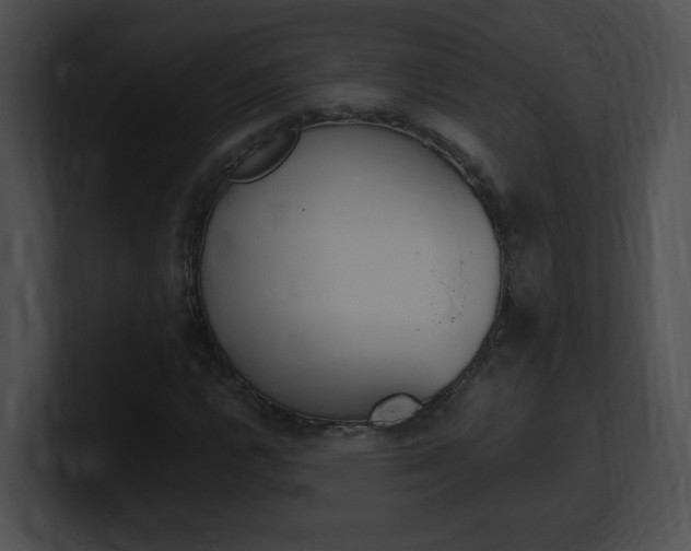 X0000101171112200806270747