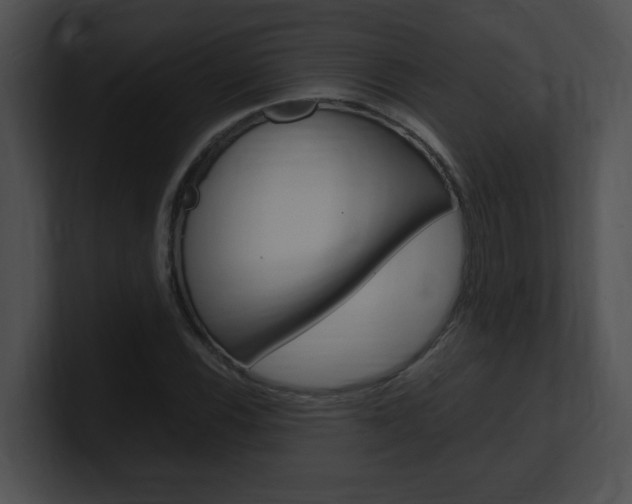 X0000101171116200806270748