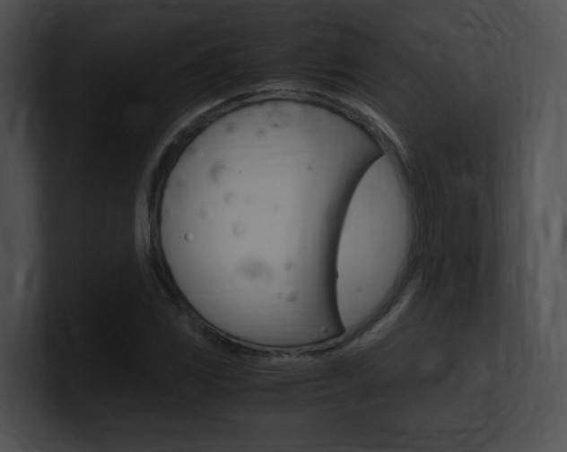 X0000101171117200806270748
