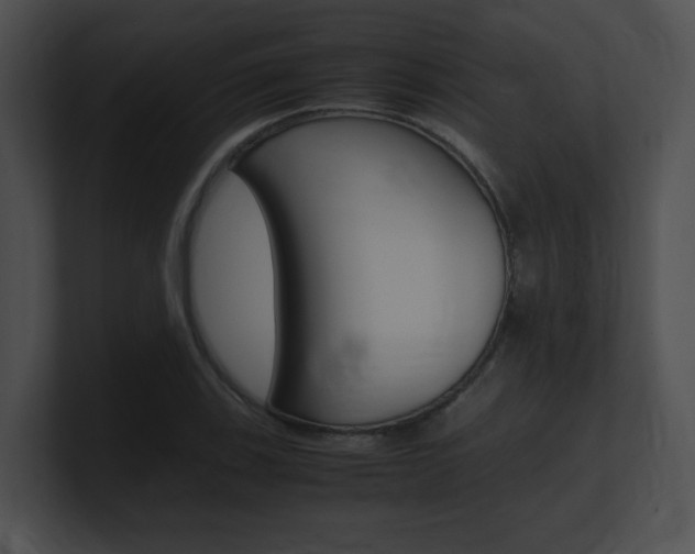 X0000101171123200806270748