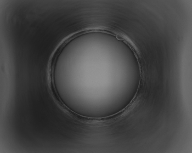 X0000101171124200806270748