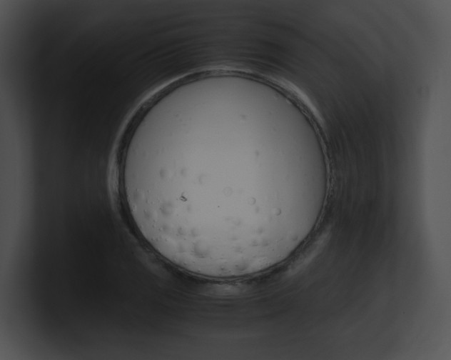 X0000101171125200806270748