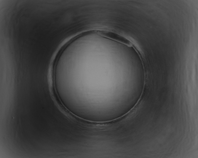 X0000101171128200806270748