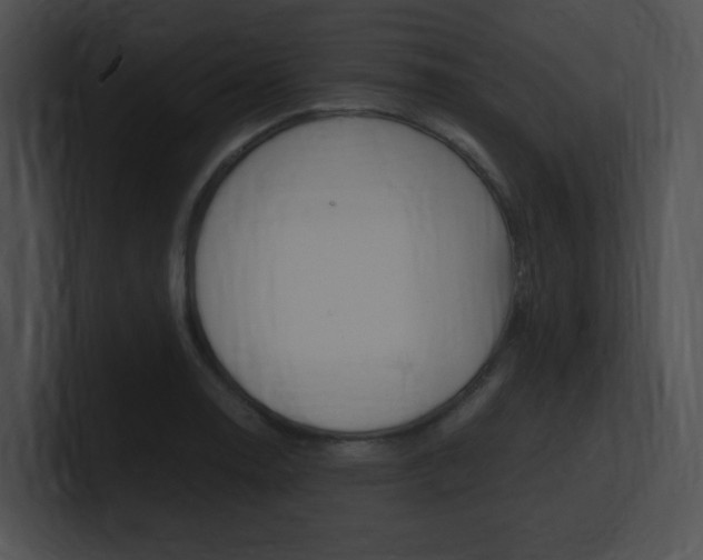 X0000101171130200806270748