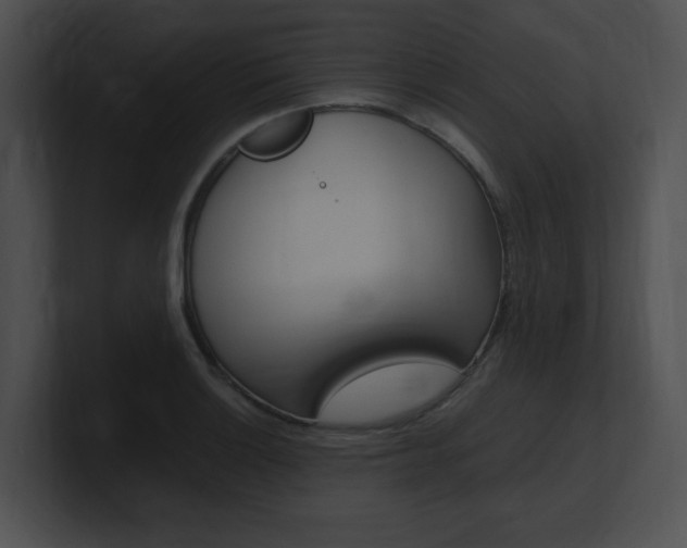 X0000101171132200806270748