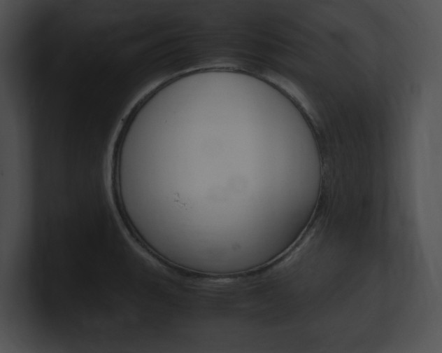 X0000101171135200806270748