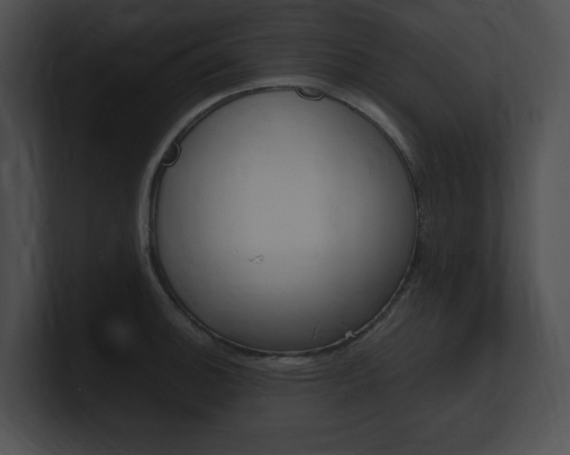 X0000101171140200806270748