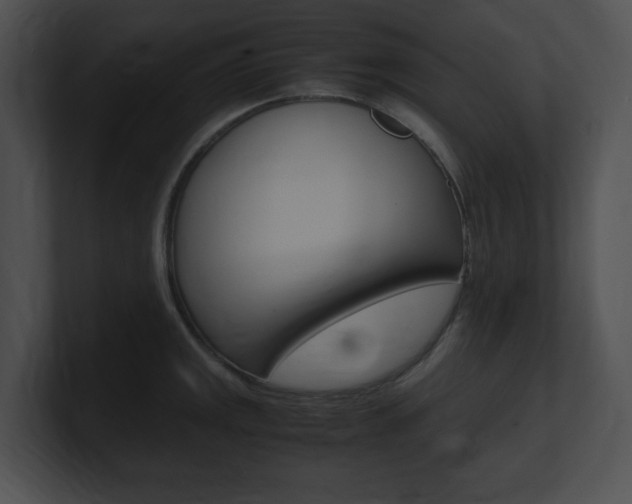 X0000101171141200806270748