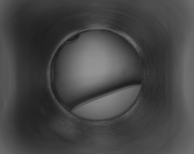 X0000101171142200806270748