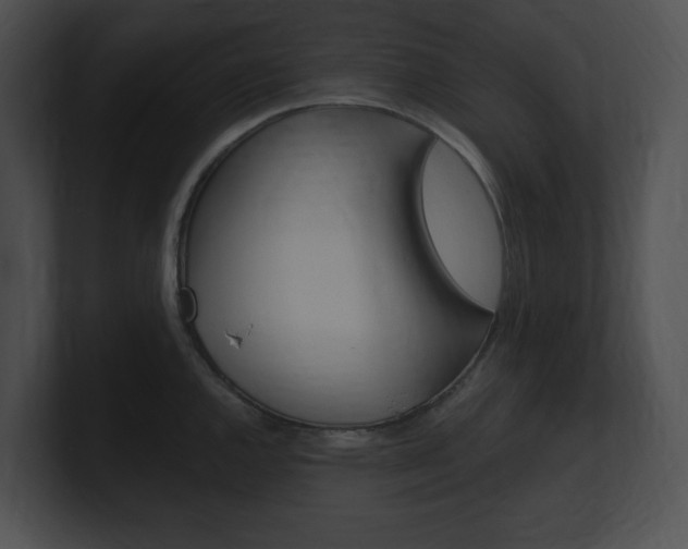X0000101171144200806270748