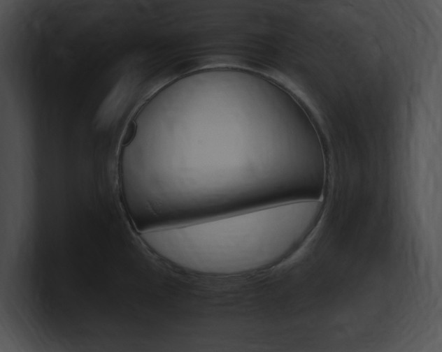 X0000101171145200806270748