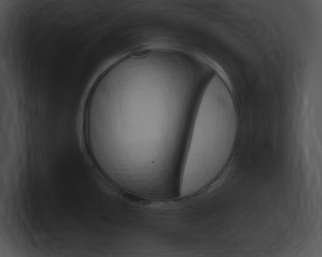 X0000101171146200806270748