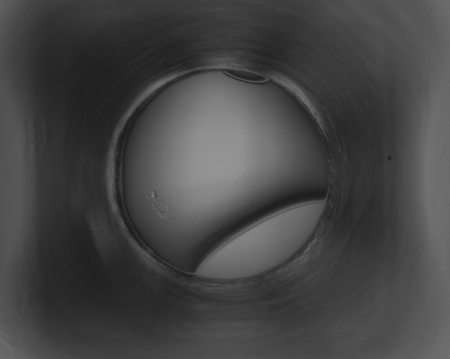 X0000101171147200806270748