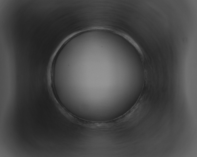 X0000101171148200806270748