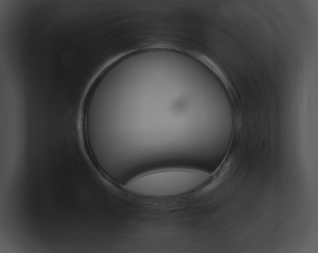 X0000101171149200806270748