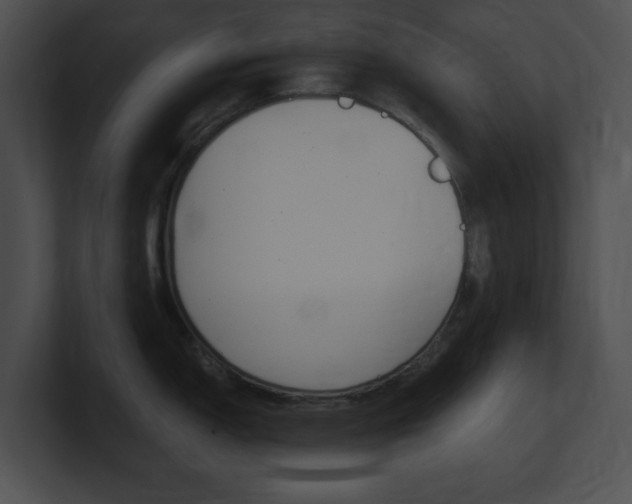 X0000101171150200806270748