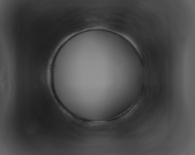 X0000101171151200806270748