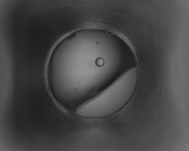 X0000101171152200806270748