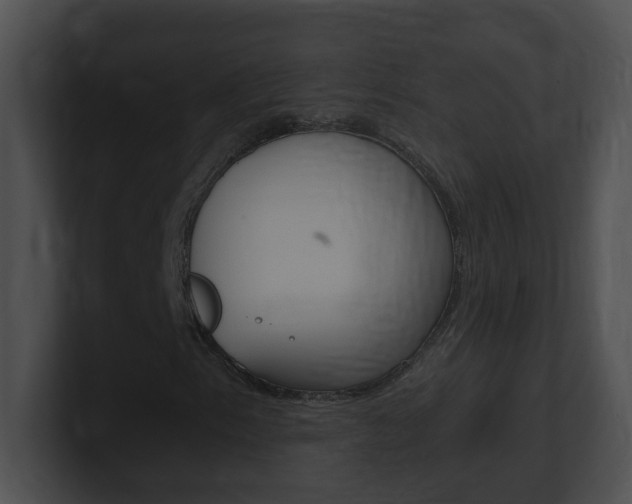 X0000101171153200806270747