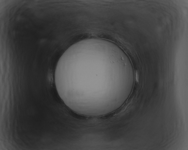 X0000101171155200806270747